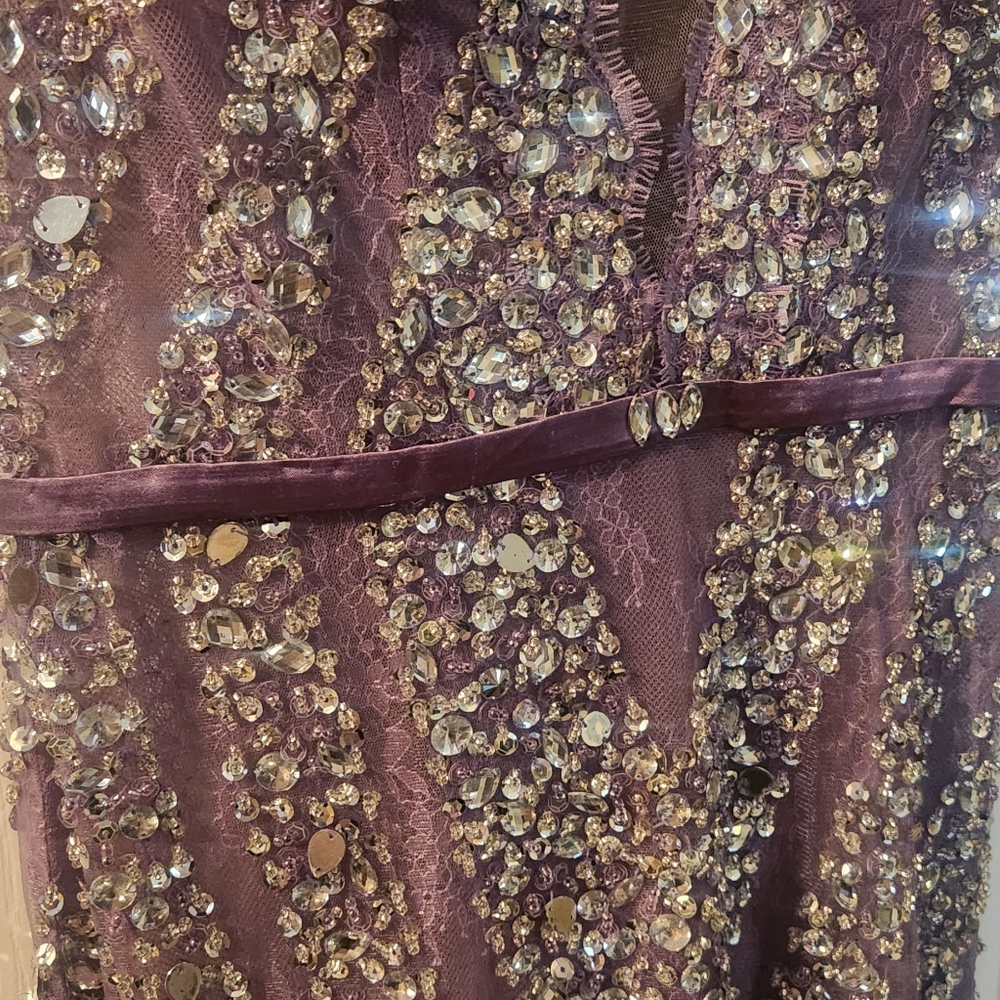 Stunning Sheer V Neck Sequin 👗 Evening  Special sz xs 4 - Picture 4 of 7